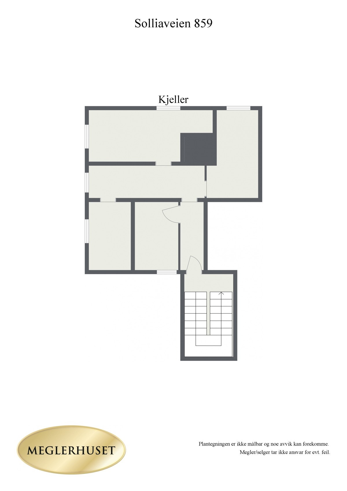 Plantegning kjeller 2D Galleribilde