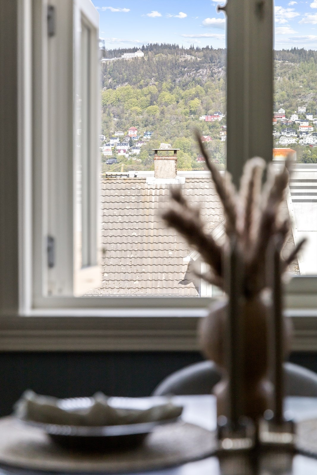 Fin utsikt mot Fjellsiden og Fløyen. Galleribilde