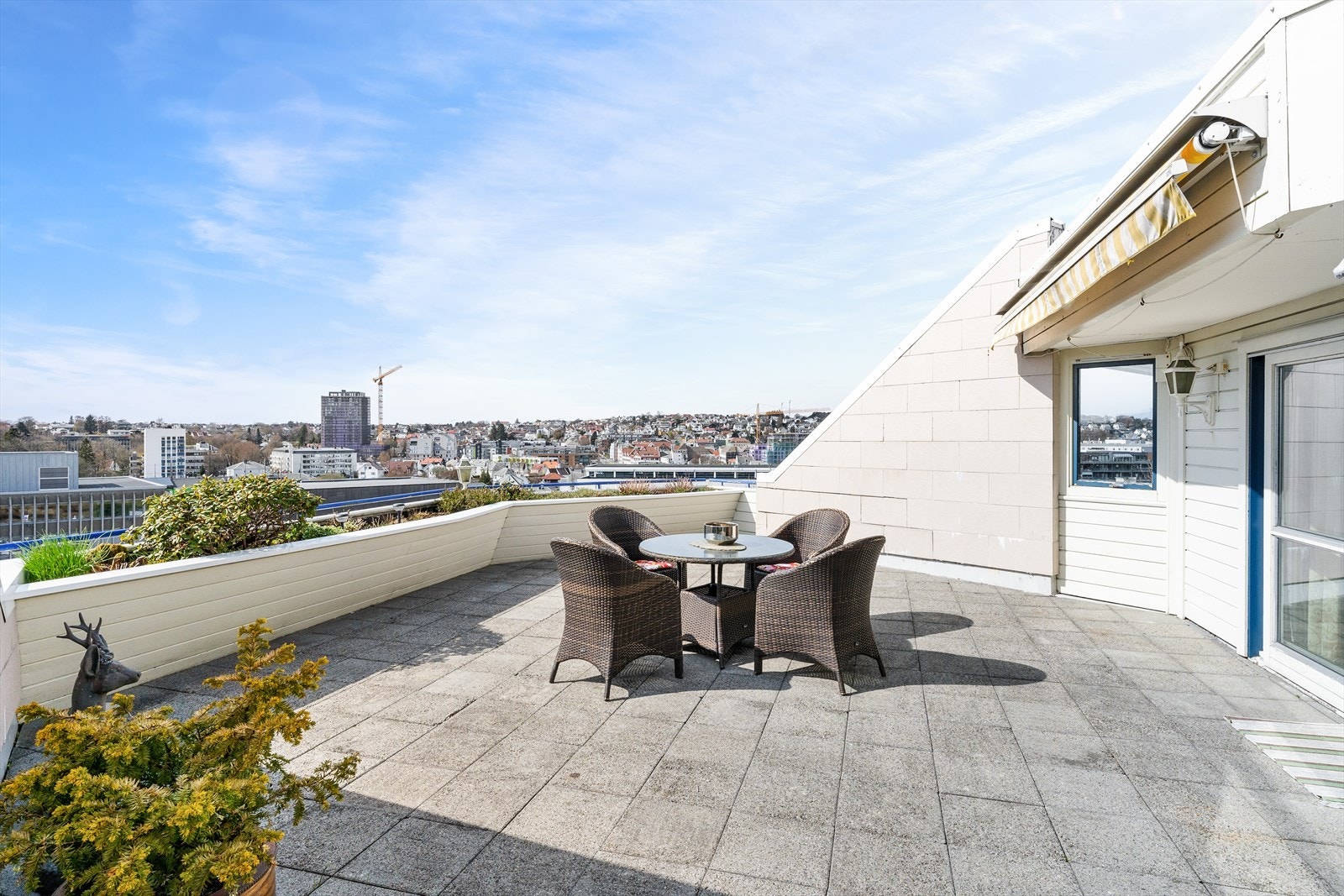 Dan Chruickshank presenterer: Sentral og tilbaketrukket toppleilighet m/svær, solrik terrasse og vinterhage. Moderniseringsbehov. Galleribilde