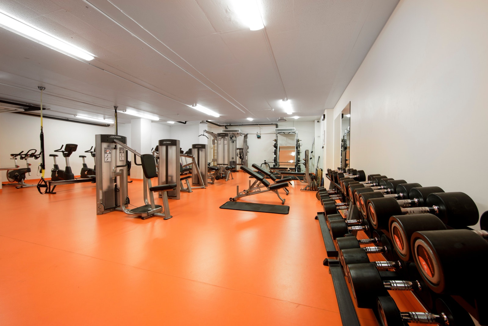 Flott treningsrom Galleribilde