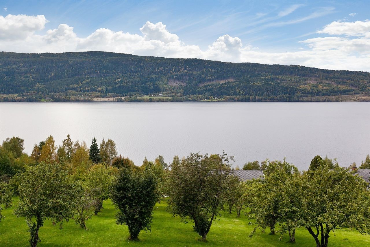 Nydelig utsikt over Randsfjorden Galleribilde