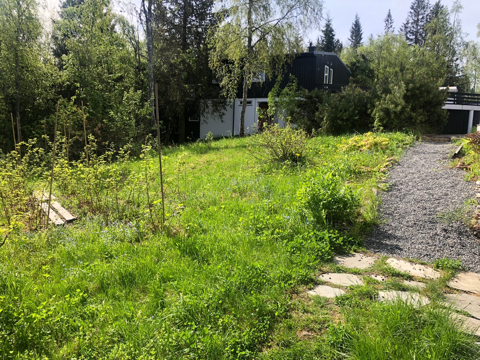 Hage utenfor hybelen (disponeres av huseier). Galleribilde