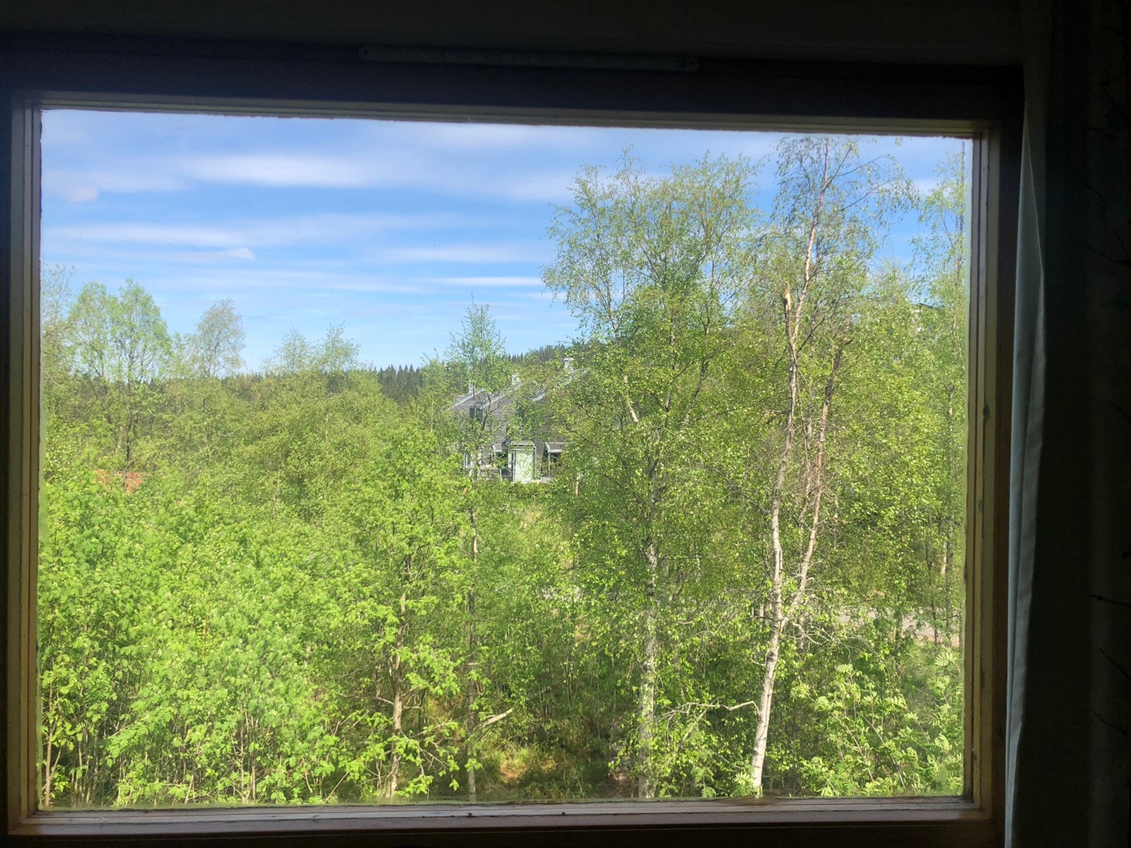 Utsikt fra hybelen om sommeren Galleribilde