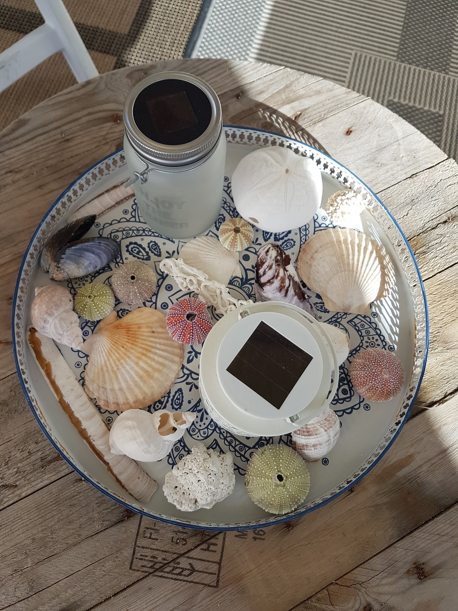 Skatter fra fjæra Galleribilde