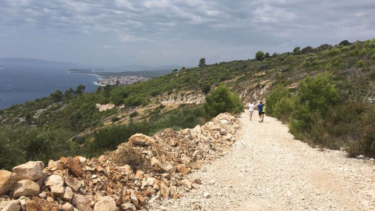 Zedno- flott tur-/treningsterreng Galleribilde