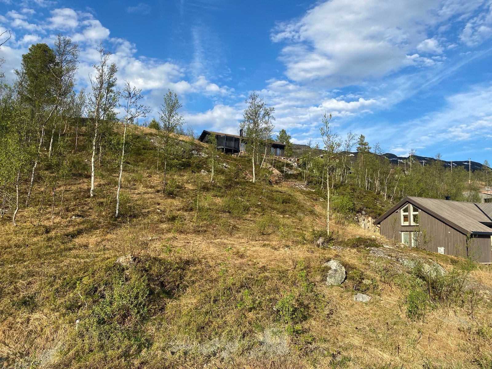 Tranebærvegen 3 - på en naturlig høyde i terrenget Galleribilde