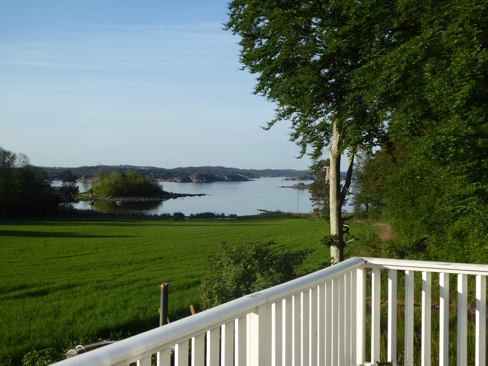 Sjøen sett fra terrassen Galleribilde