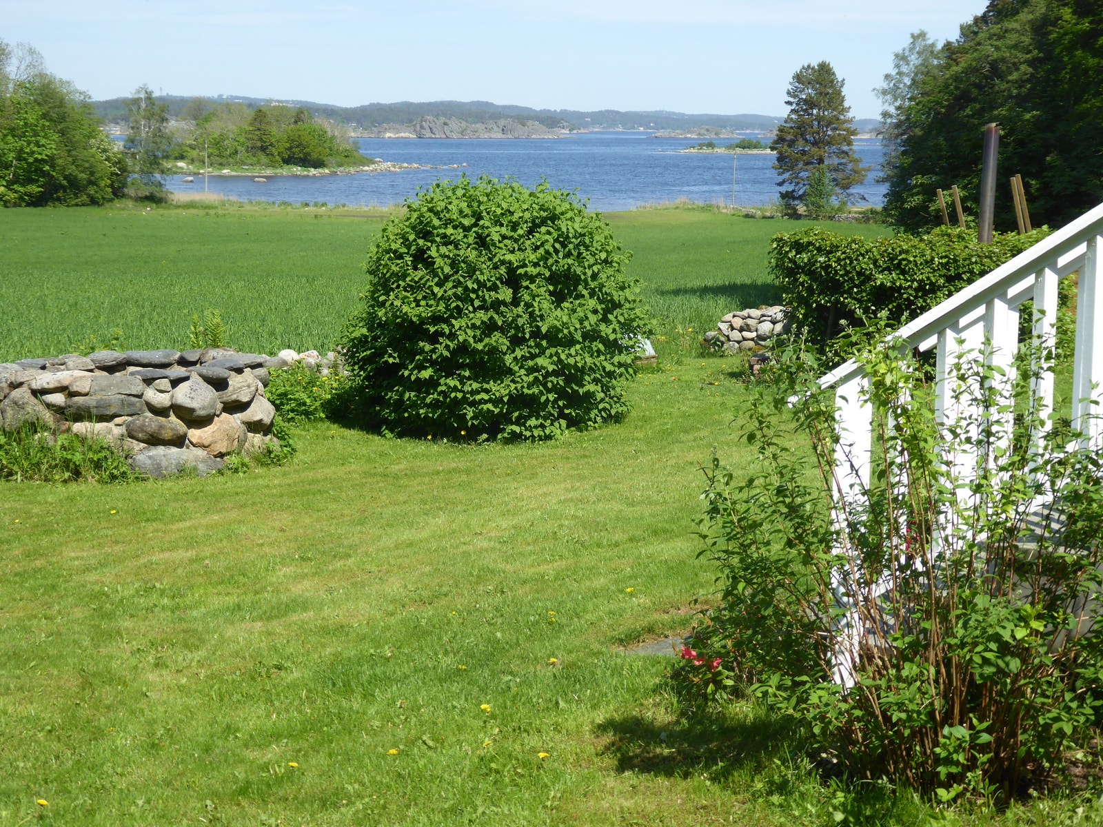 Sjøen sett fra hagen Galleribilde