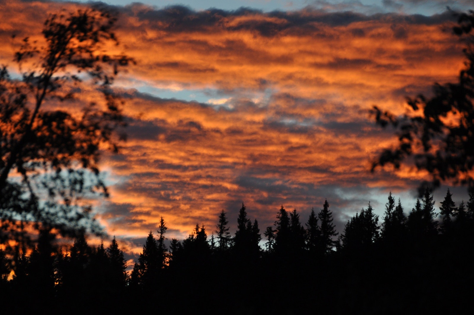 Solnedgang fra hytta - juni 2020 Galleribilde