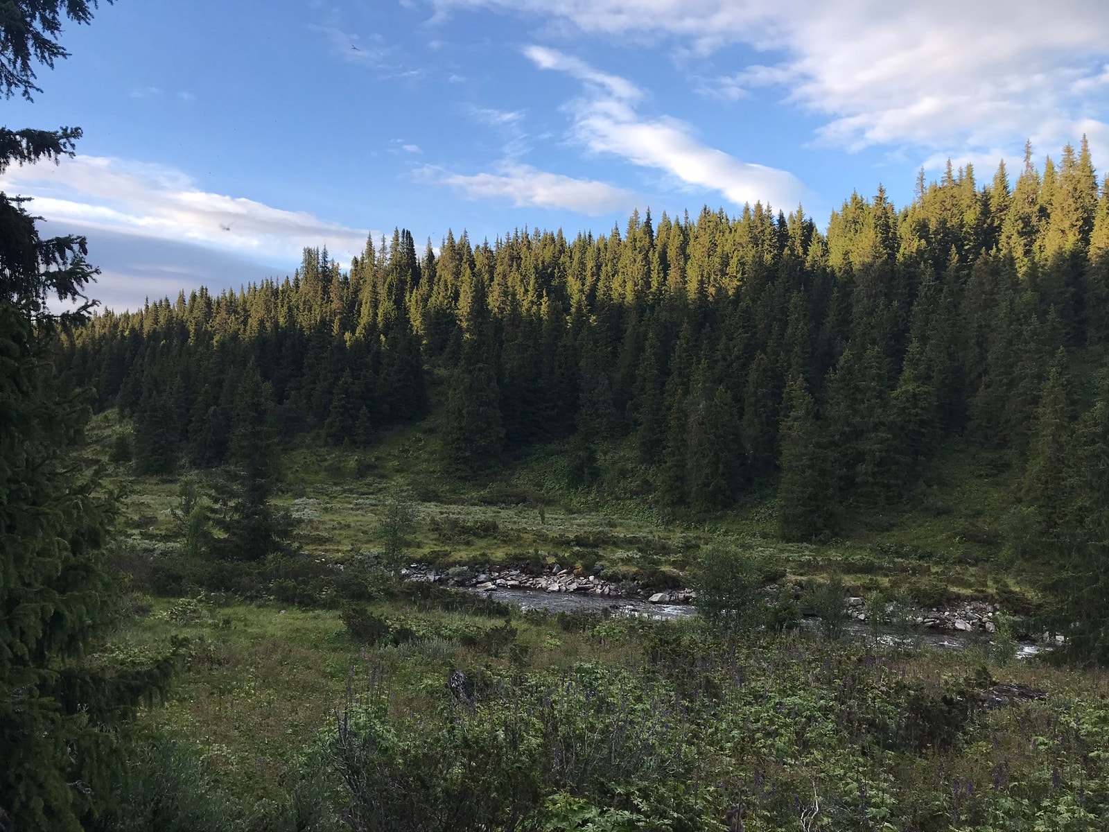 God fiskeelv (Breia) - mark eller spinner Galleribilde