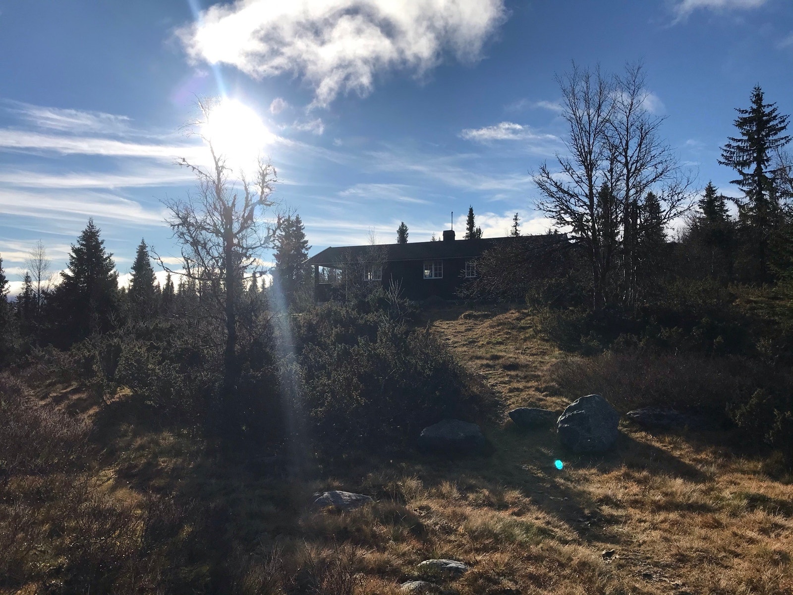 Hytta ligger høyt i terrenget og med litt skog omkring Galleribilde