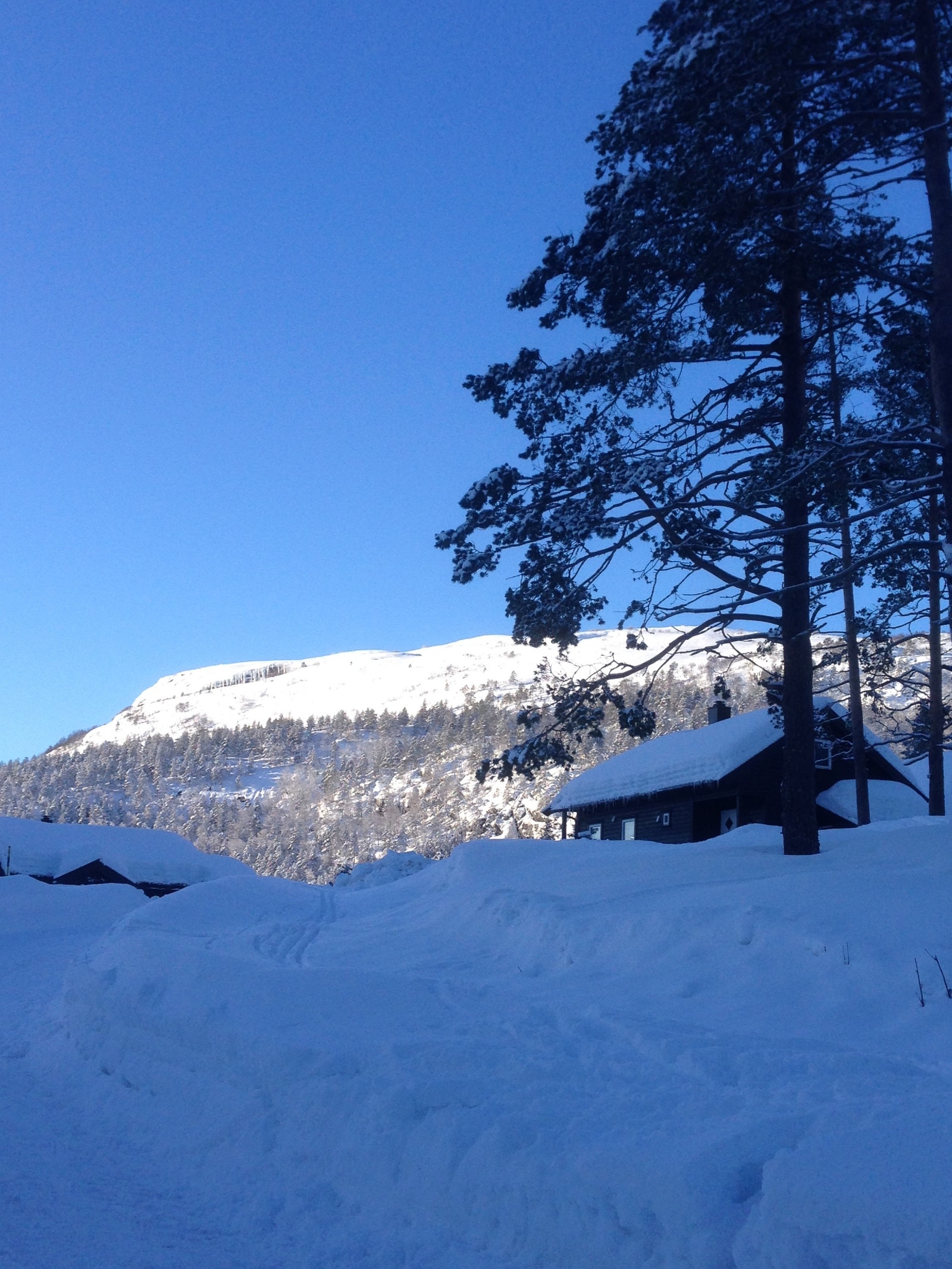 Hytta på vinterstid. Galleribilde