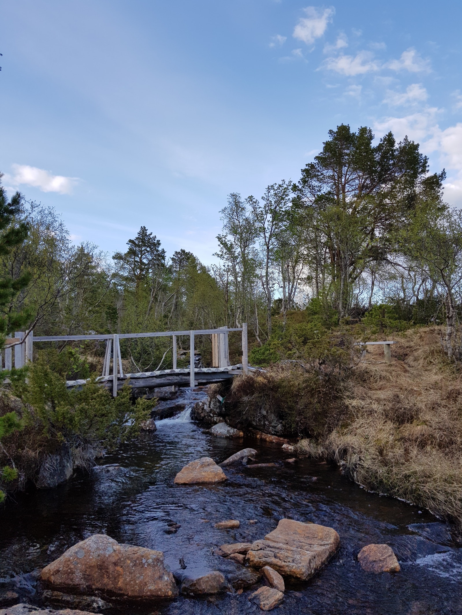 Nærtur Galleribilde