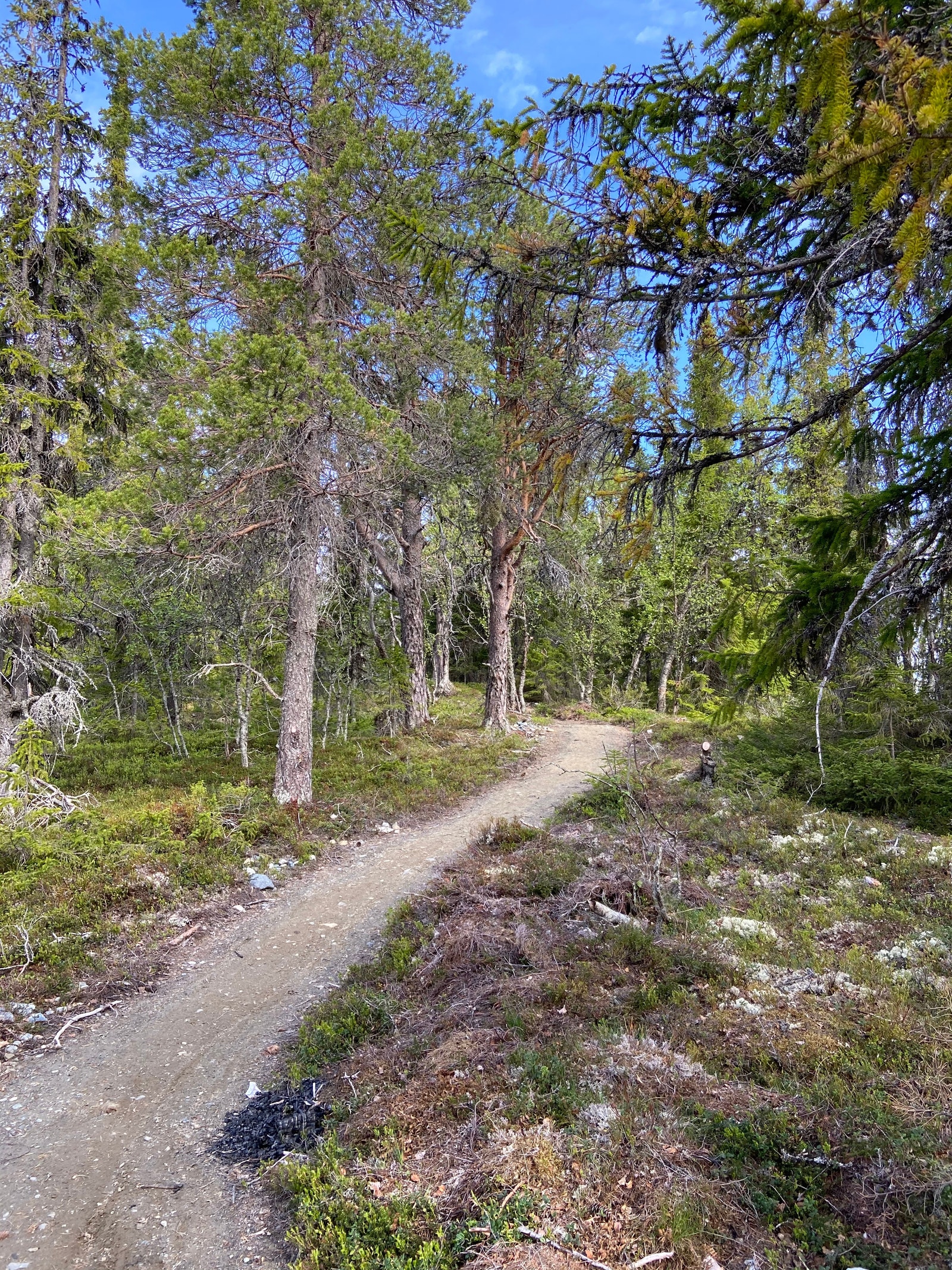 Sykkelløype like i nærheten av hytten Galleribilde