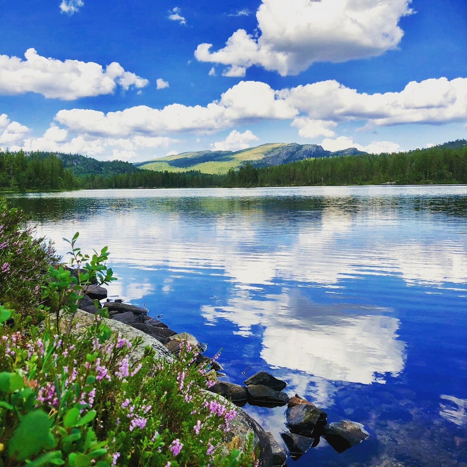 Fiske- og jaktmulighetene i området er mange. Galleribilde