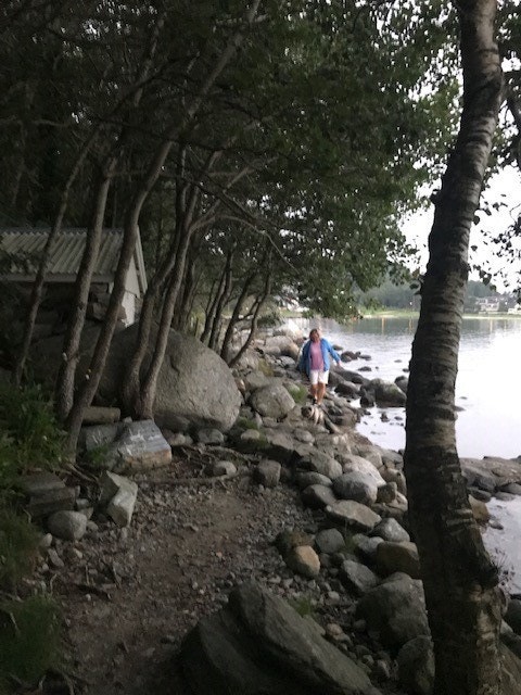 Nærområde: naturstien langs Indraberget Galleribilde