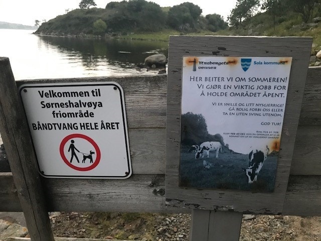 Nærområde: friområdet Indre- og Ytraberget Galleribilde