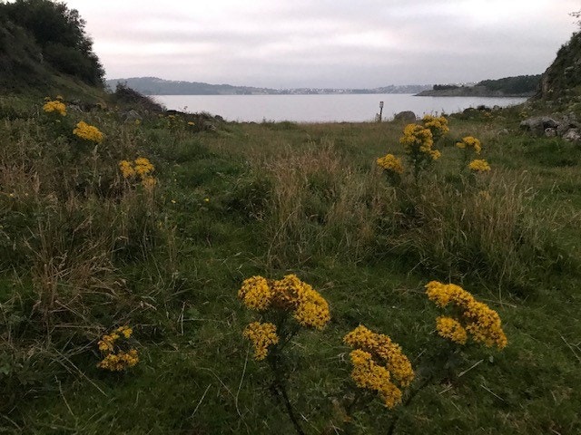 Nærområde: Ytraberget Galleribilde