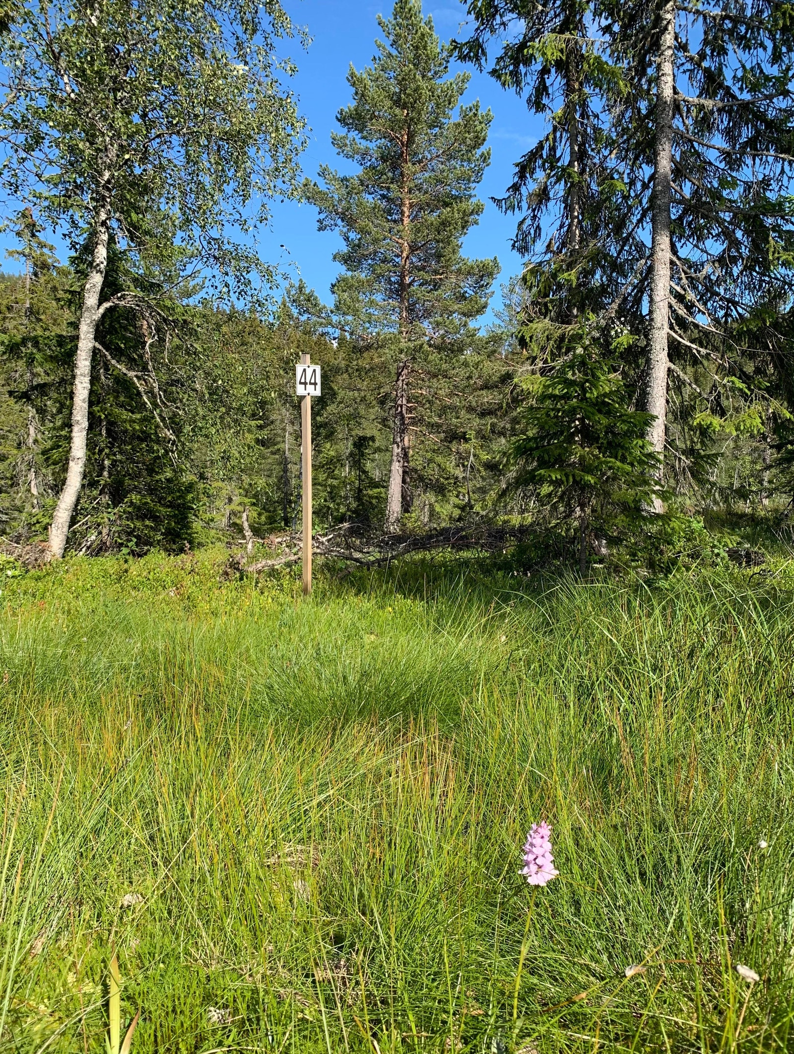 Birte hyttefelt nr 44 Galleribilde