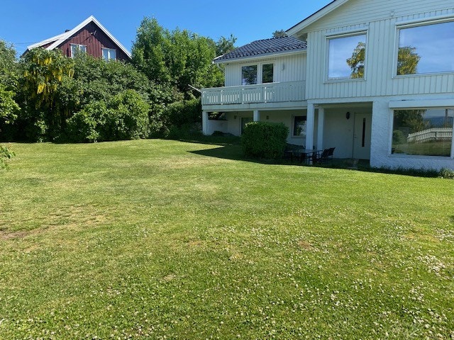 Stor hage Galleribilde