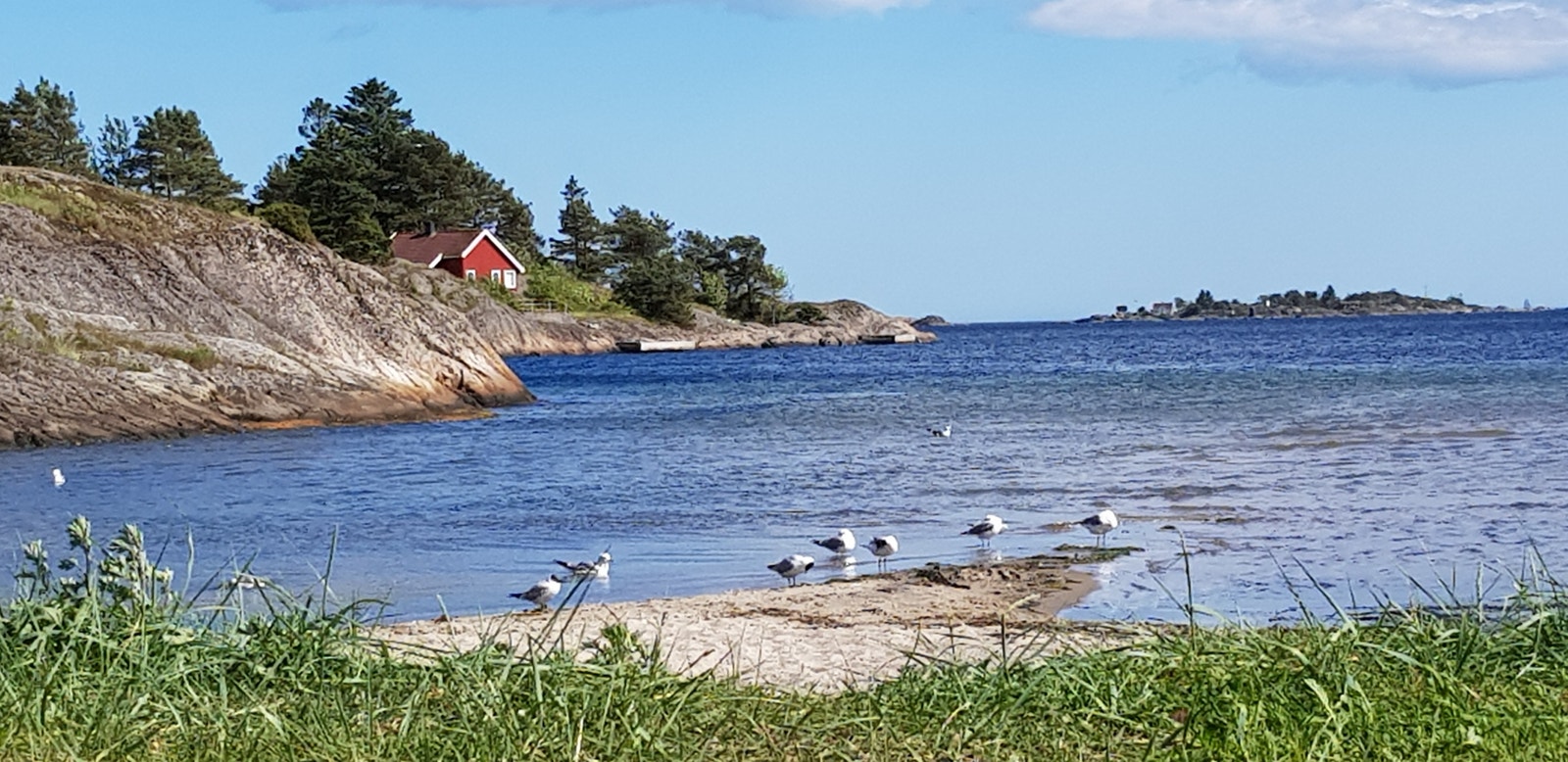 Groos badeplass. Galleribilde