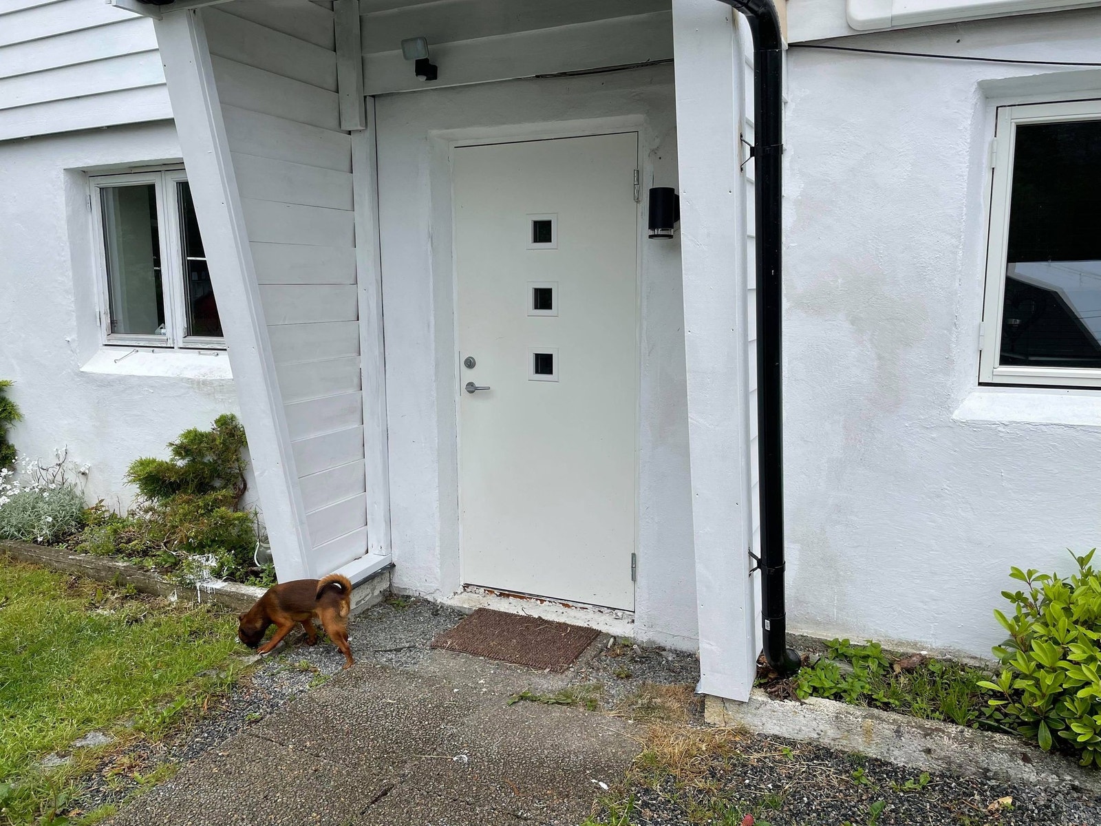 Egen inngang Galleribilde