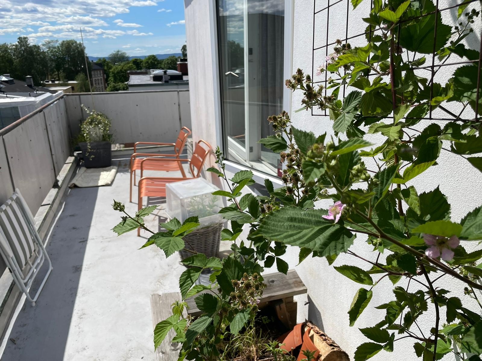 Terrasse øst Juni 2021 Galleribilde
