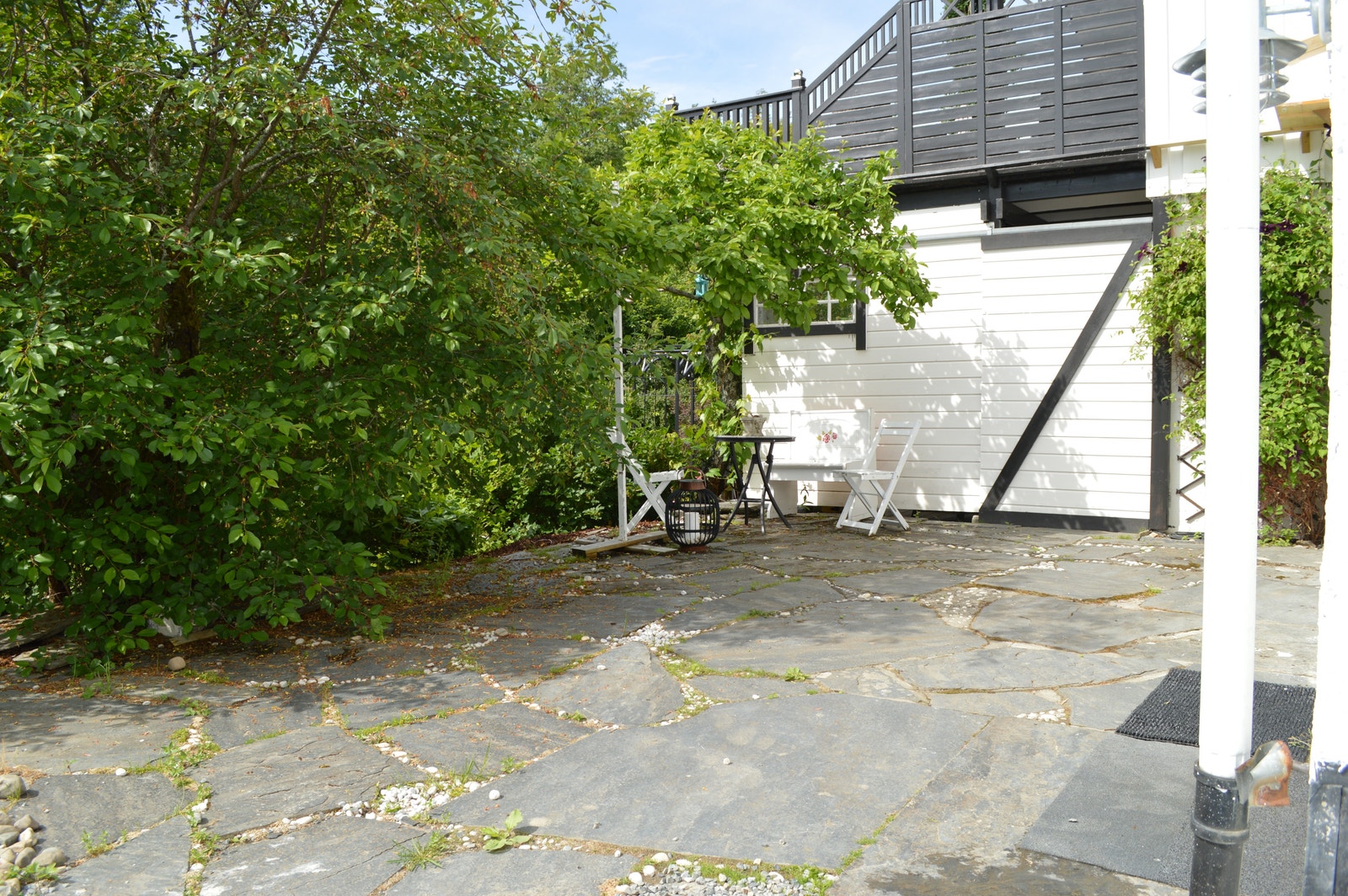 Uteplass med frukt trær. Galleribilde