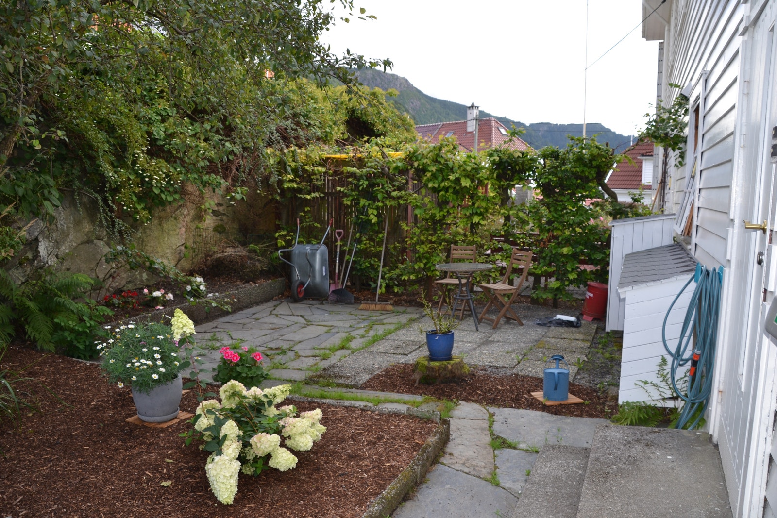 Hage/Parkering Galleribilde