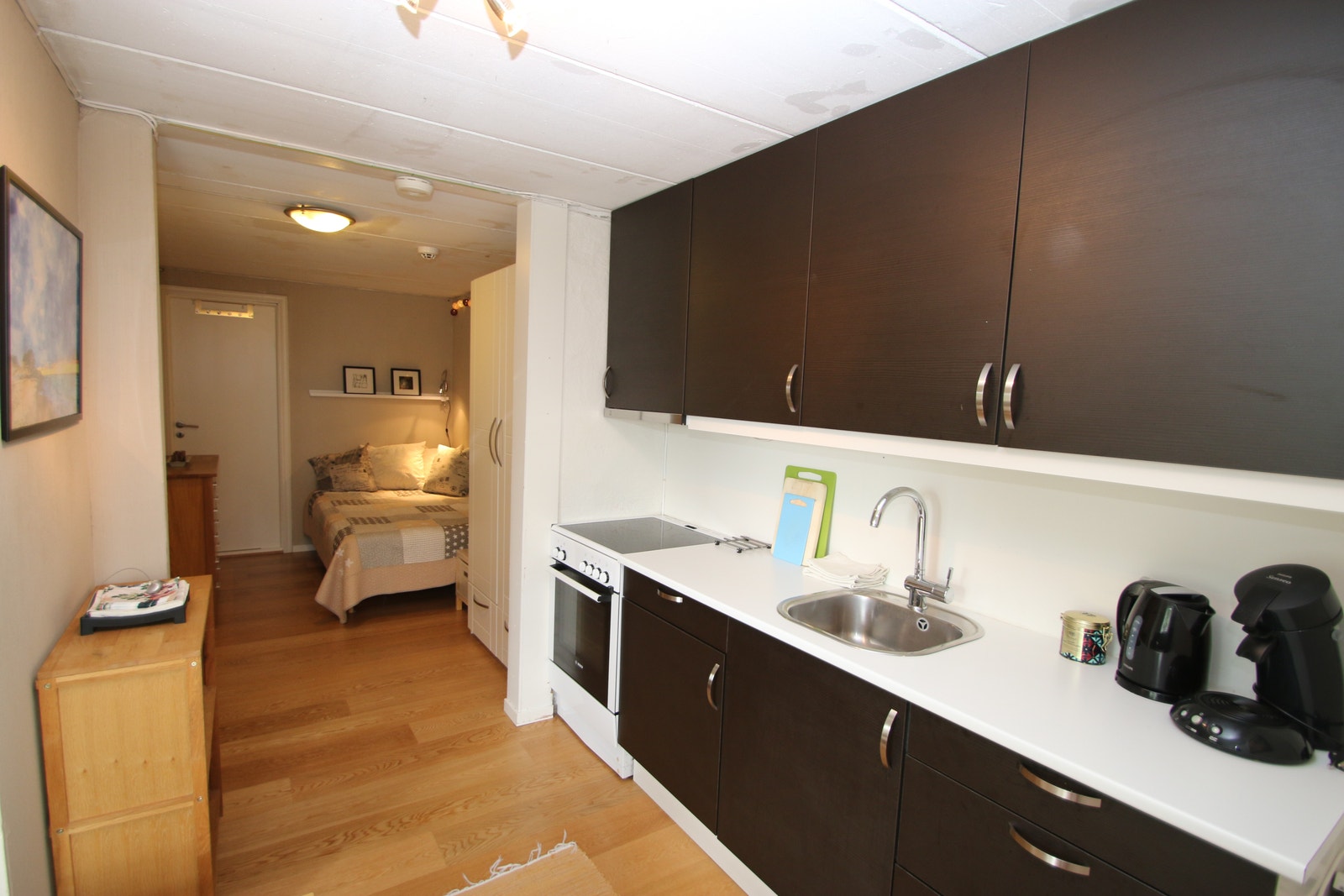 Åpen løsning med oppholdsrom, kjøkken og sovealkove i ett rom Galleribilde