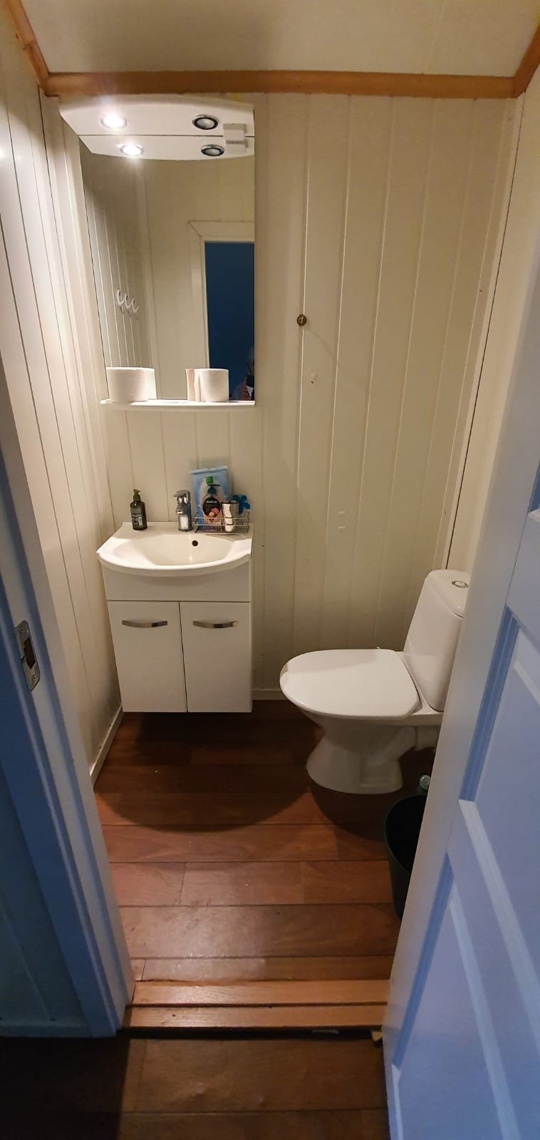 Toalett Galleribilde