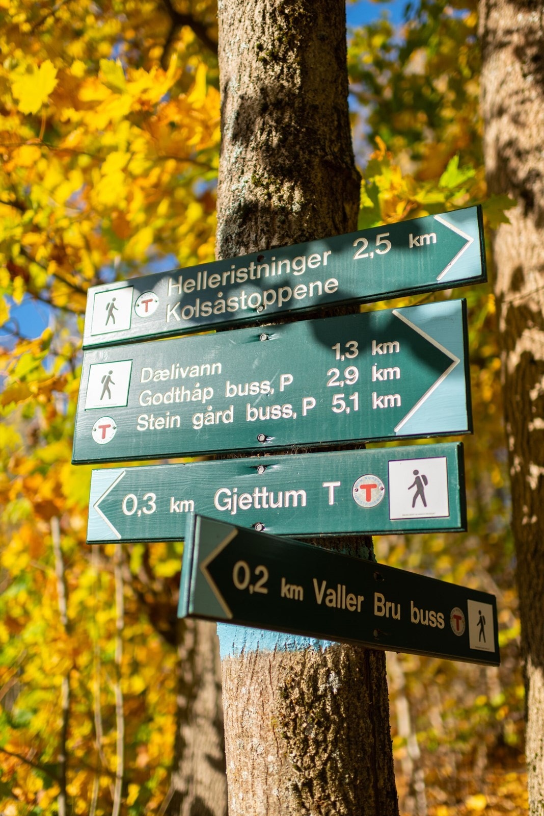 Nærområdet Galleribilde