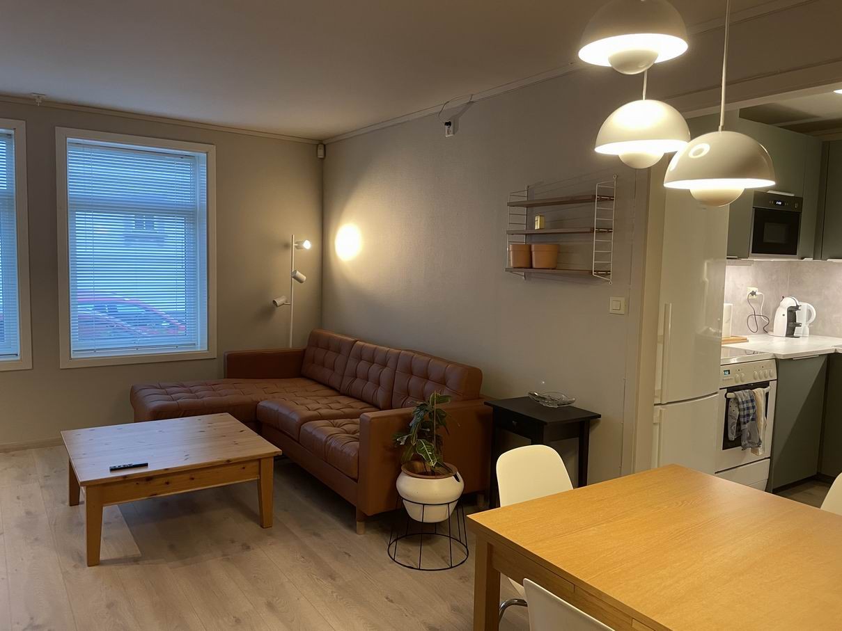 stue, skinnsofa med sjelsalong og stor TV Galleribilde