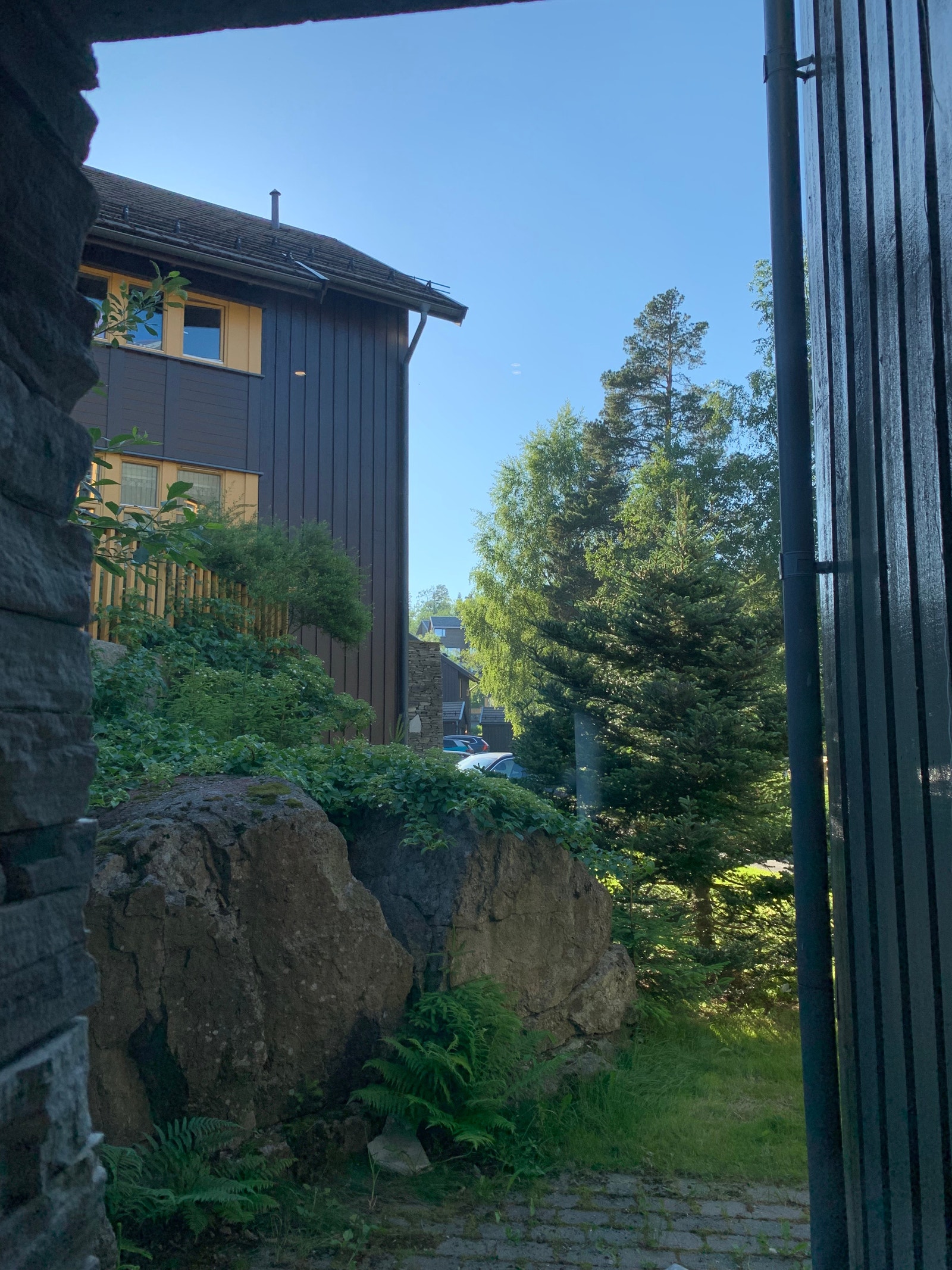 Flott utsyn ut av vinduet til grønne omgivelser Galleribilde