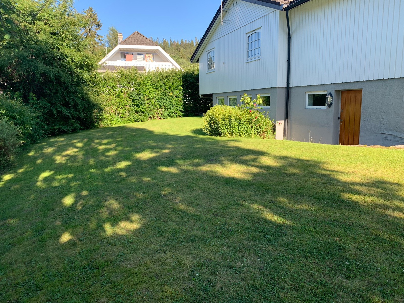 Uteområdet / Inngang Galleribilde