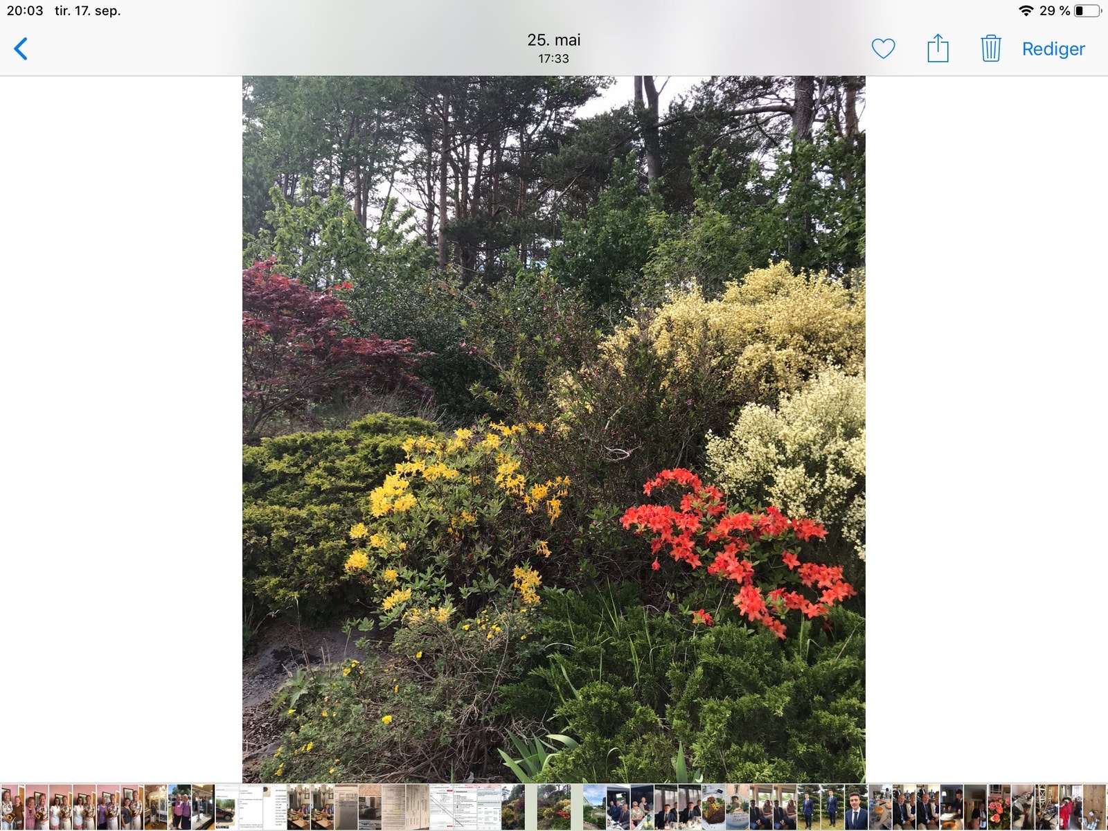 Eiendommen er full av flotte planter Galleribilde