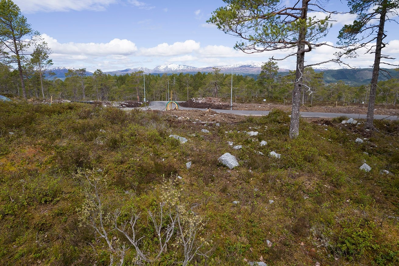 Tomtene er tilrettelagt for å kunne tilknyttes offentlig vei, vann og avløp via private stikkledninger. Galleribilde