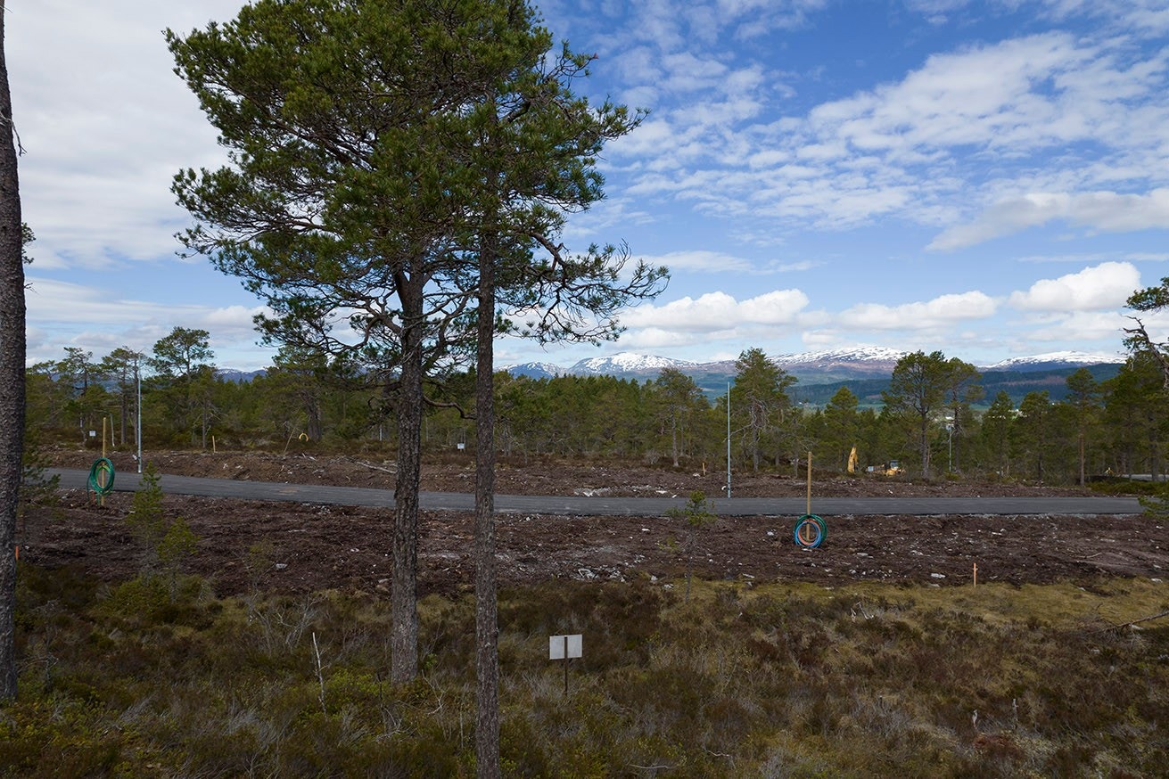 Trekkrør til fiber (TV/internett) er lagt inn til tomtegrense. Galleribilde