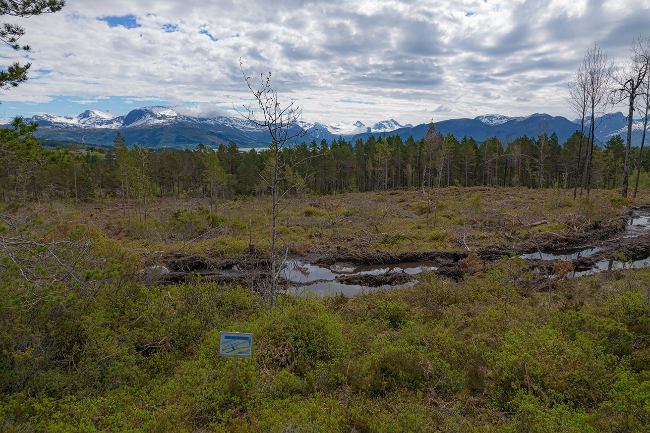 Tomtene leveres grovplanert slik de fremstår ved besiktigelse. Galleribilde