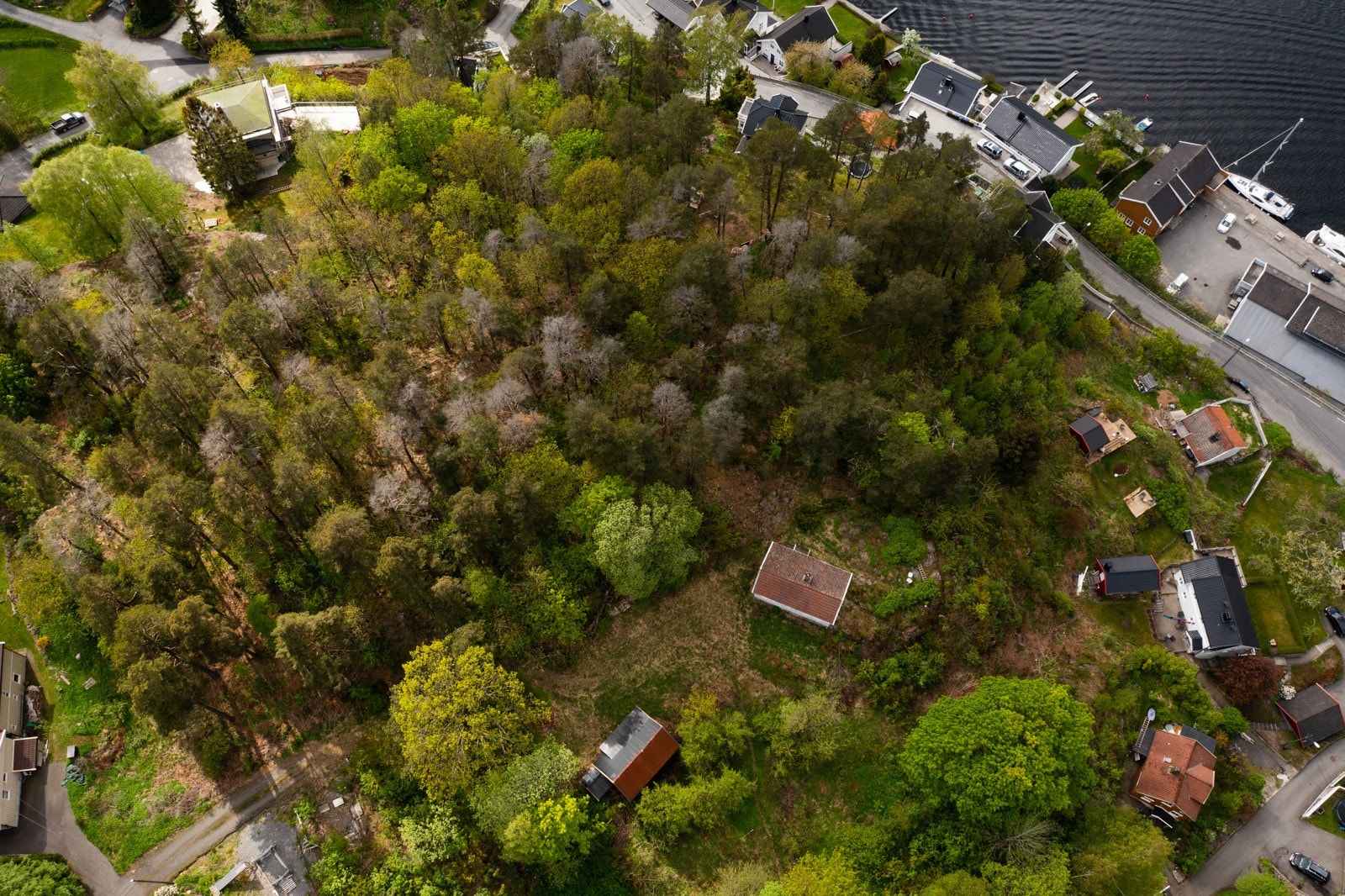 Sjøen kort vei unna Galleribilde