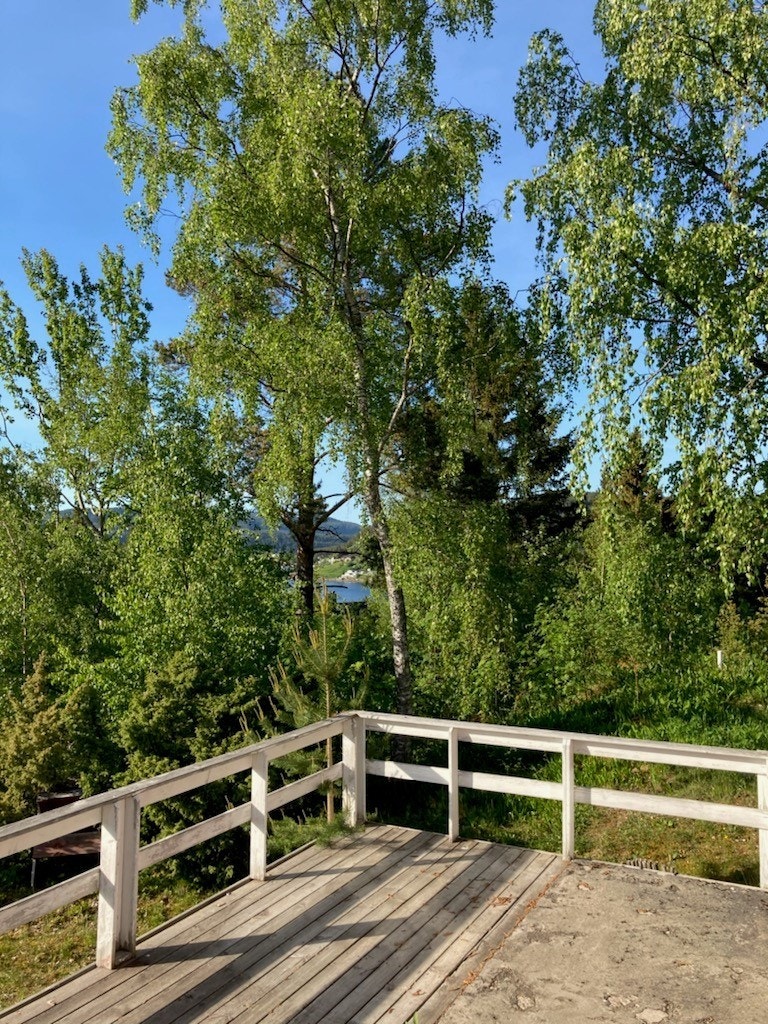 Terrasse Galleribilde
