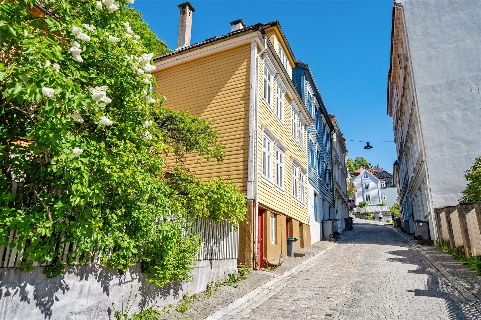 Nydelig gate med flott bebyggelse. Rolig strøk som ligge svært nærme "alt". Galleribilde
