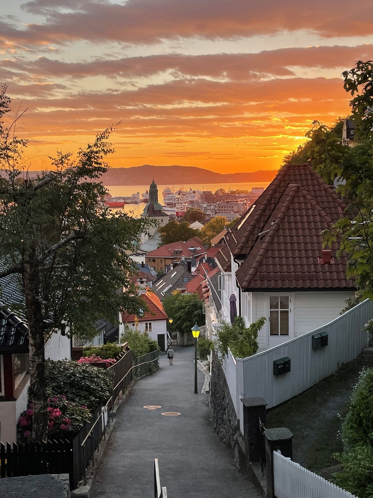 Velkommen til visning i Skivebakken! Galleribilde