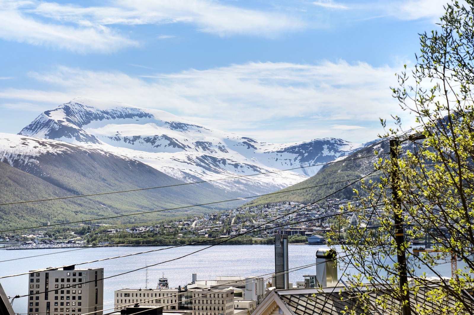 Fin utsikt. Galleribilde