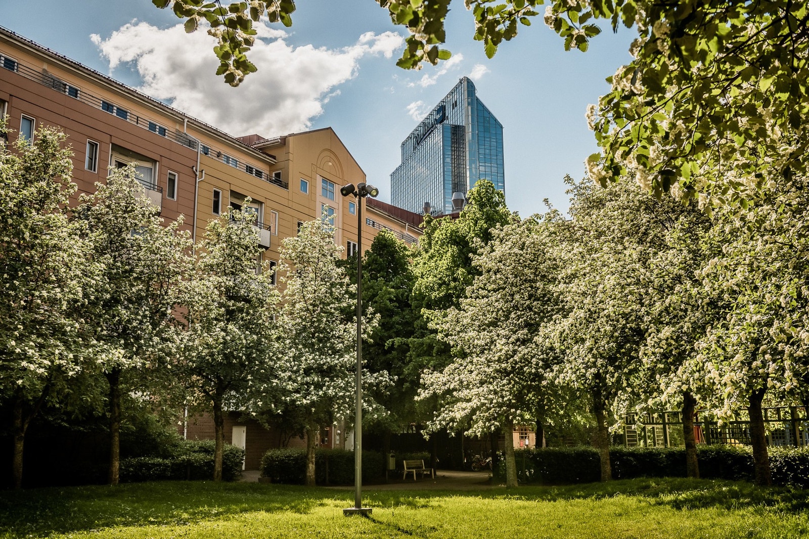 Frodig, grønt og idyllisk! Galleribilde