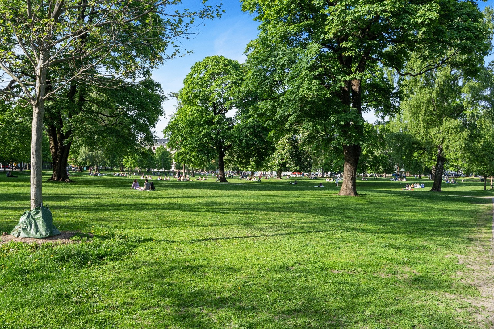 Sofienbergparken ligger rett ved leiligheten med flotte grøntarealer, treningsstativer, lekeplass og sittegrupper. Galleribilde