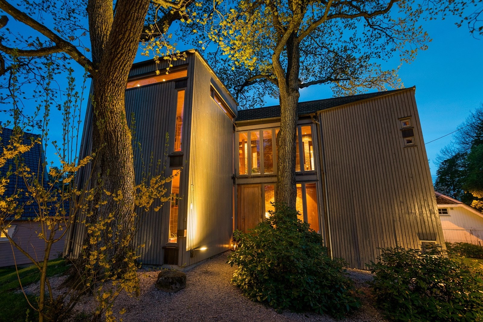 Trærne lyses opp og gir en fantastisk utebelysning. Galleribilde