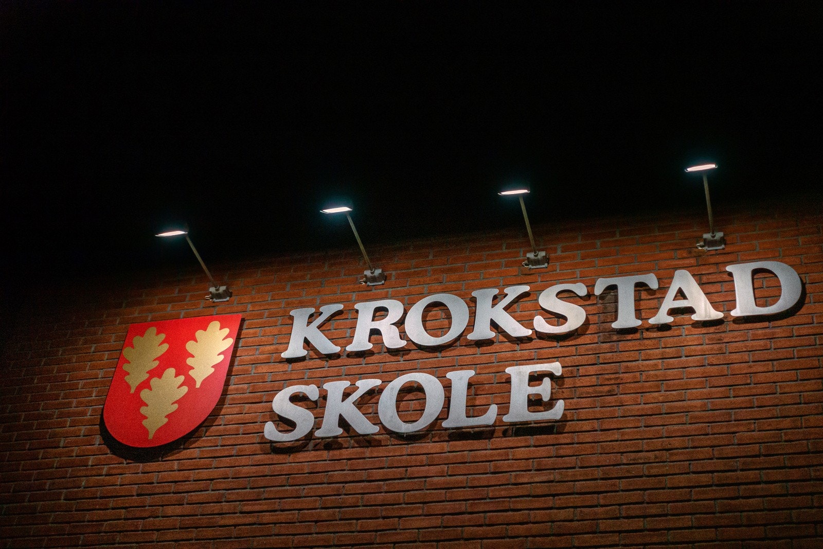 Krokstad Skole. Galleribilde