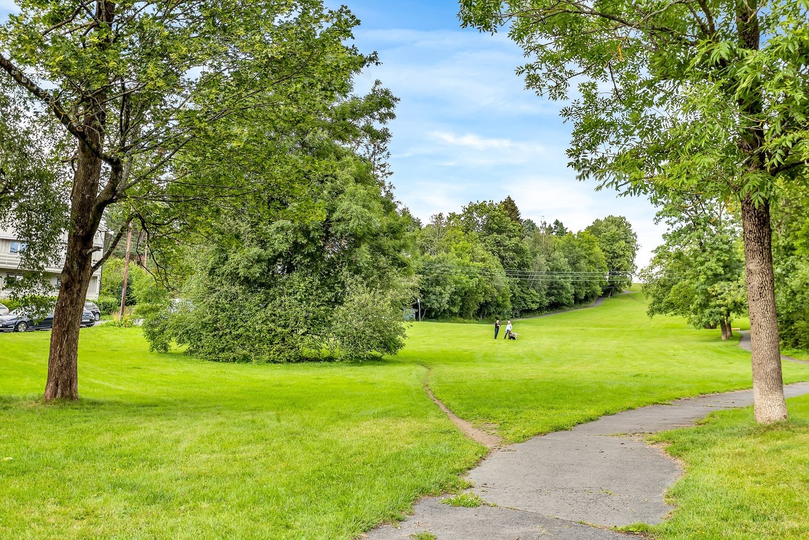 Ett av flere idyllisk turområder Galleribilde
