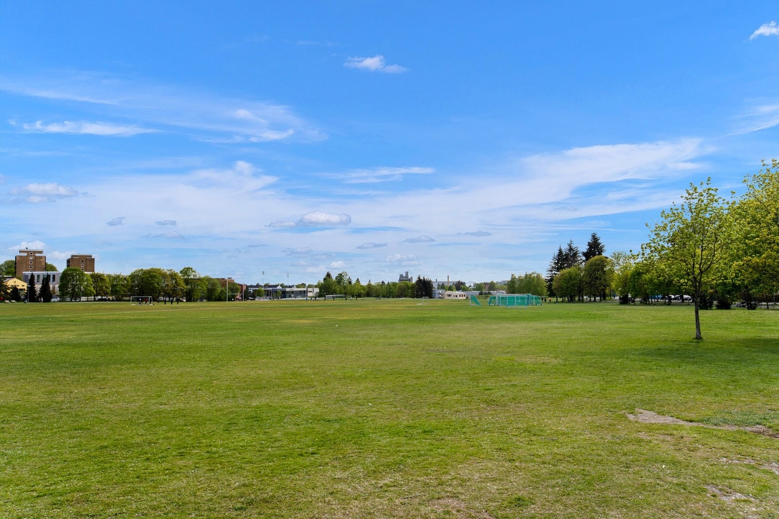Blåsbortparken Galleribilde